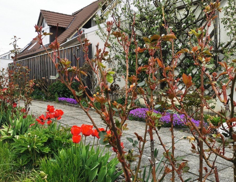 Gartenimpressionen Reiheneckhaus Germering / Harthaus