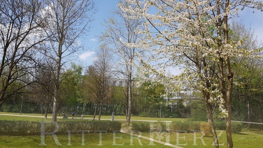 Gr�nanlage vor der Haust�r Erdgeschosswohnung M�nchen