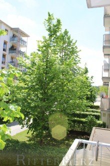 Balkon S�d ***VERKAUFT*** Neuwertige und ruhige Immobilie mitten in der City!