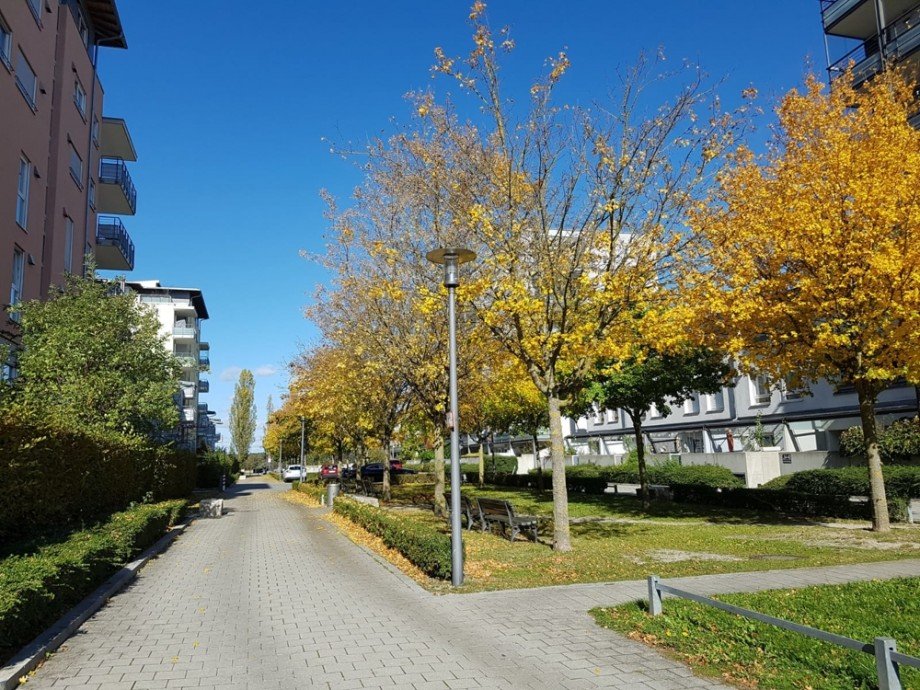  Dachgeschosswohnung M�nchen / Am Hart