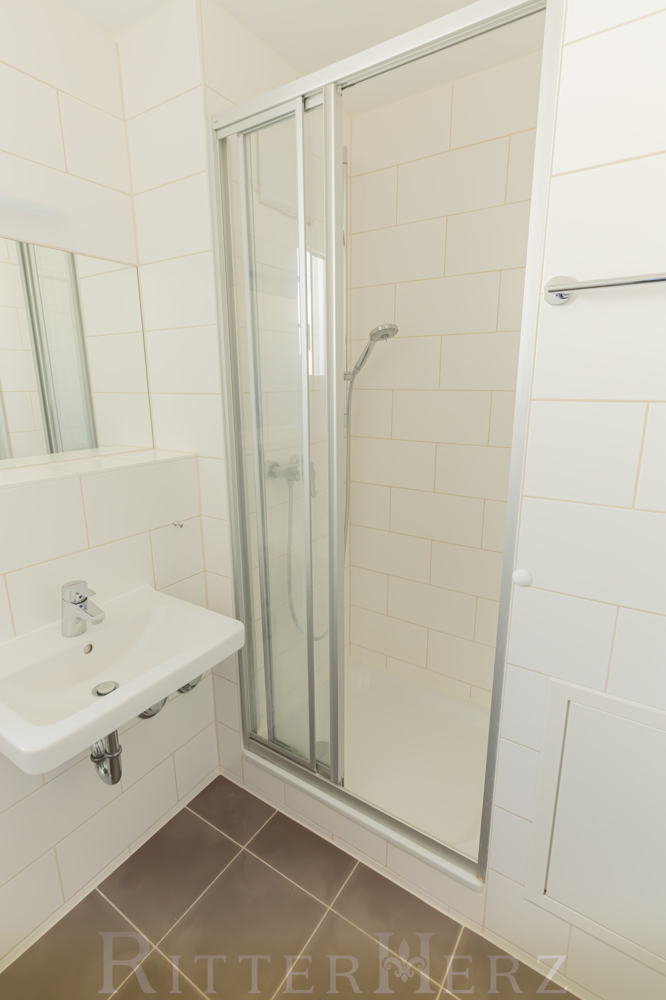 Bad-Dusche Dachgeschosswohnung M�nchen